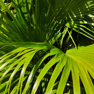 美女漏奶漏逼让男生舔
